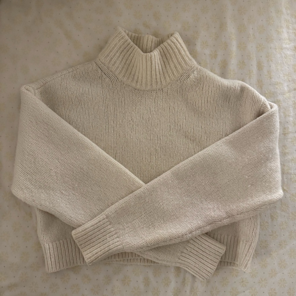 2xs aritzia wool blend turtleneck
